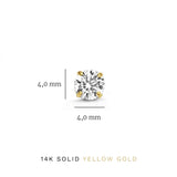 Set de Pendientes de Piedra Dara Brillane | Dorado